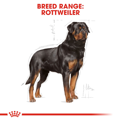 Royal Canin Cane Rottweiler Adulto 12 Kg