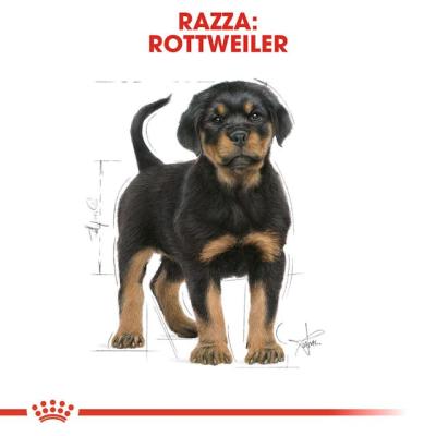 Royal Canin Cane Rottweiler Puppy 12 Kg
