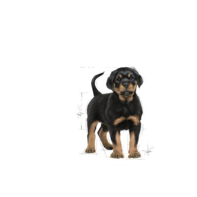 Royal Canin Cane Rottweiler Puppy 12 Kg