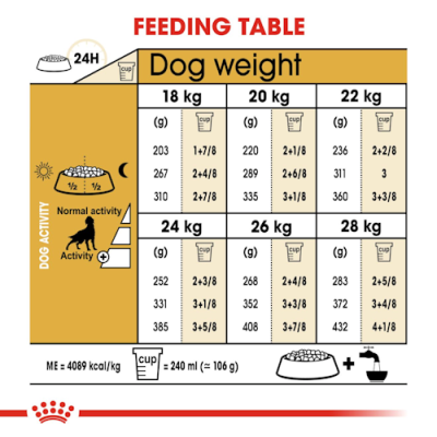 Royal Canin Cane Setter Adulto 12 Kg