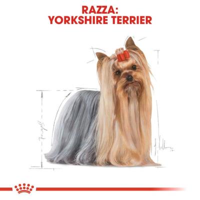 Royal Canin Cane Yorkshire Adulto 85 Gr