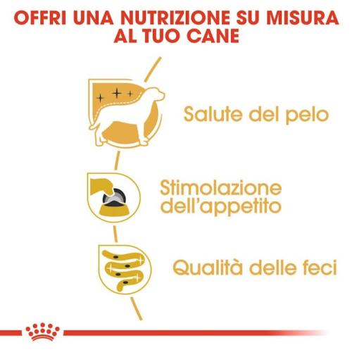 Royal Canin Cane Yorkshire Adulto 85 Gr