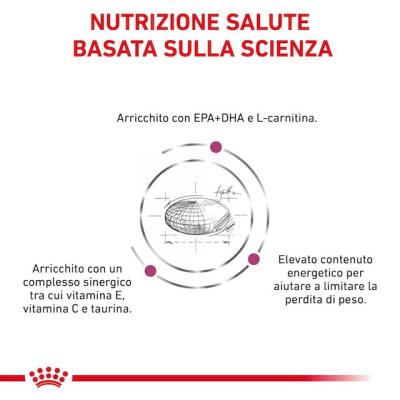 Royal Canin Cane Cardiac