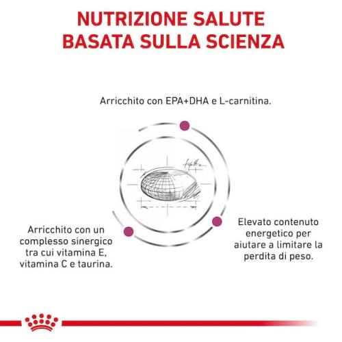 Royal Canin Cane Cardiac