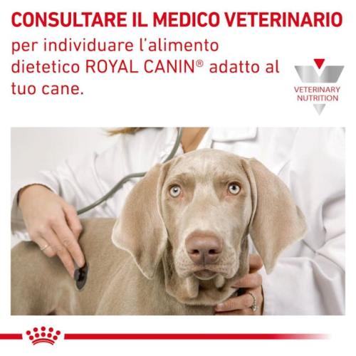 Royal Canin Cane Cardiac