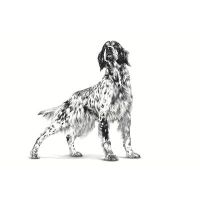 Royal Canin Cane Cardiac