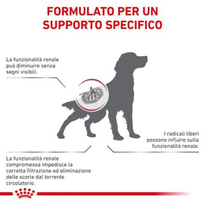 Royal Canin Cane Early Renal