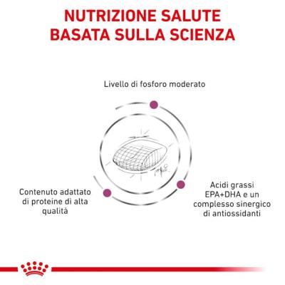 Royal Canin Cane Early Renal