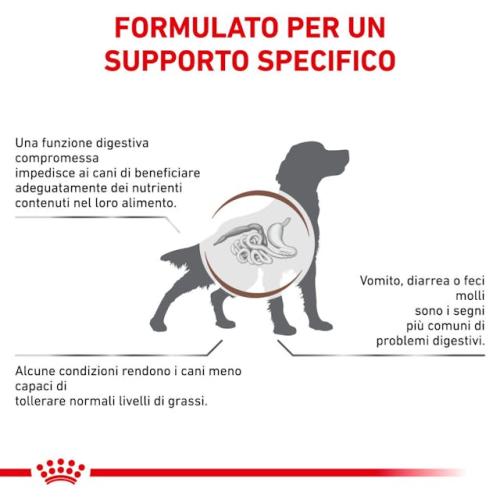 Gatrointestinal cane royal canin