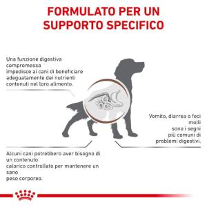 Royal Canin Cane Gastrointestinal Moderate Calorie 2