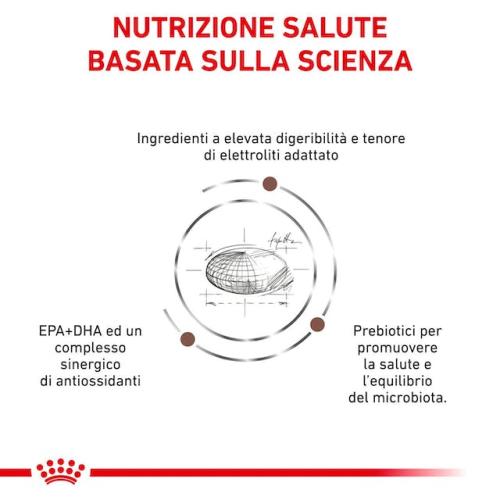 Royal Canin Cane Gastrointestinal Moderate Calorie
