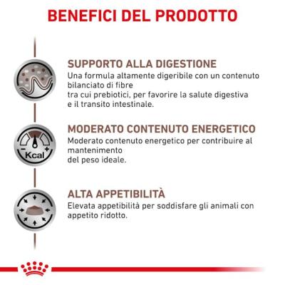 Gastrointestinal Moderate Calorie Royal Canin Cane