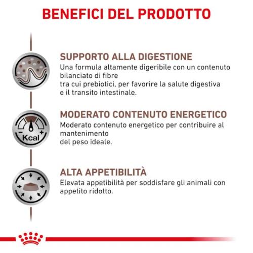 Gastrointestinal Moderate Calorie Royal Canin Cane