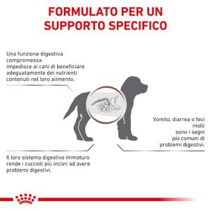 Royal Canin Cane Gastrointestinal Puppy 2