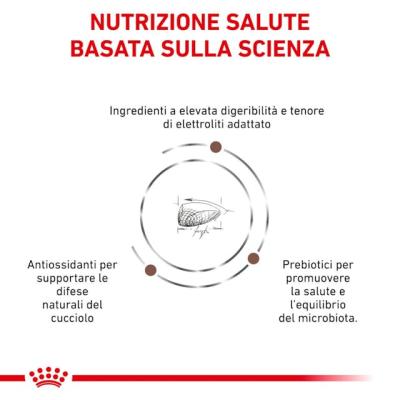 Royal Canin Puppy gastrointestinal