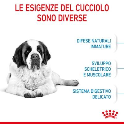 Royal Canin Cane Giant Junior