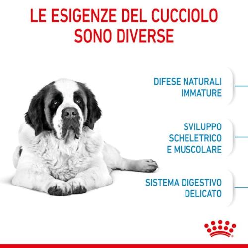 Royal Canin Cane Giant Junior