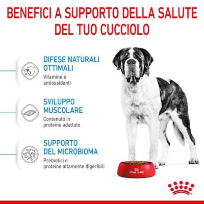 Royal Canin Cane Giant Junior