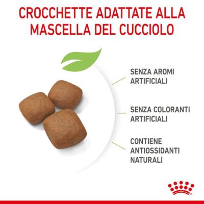 Royal Canin Cane Giant Junior