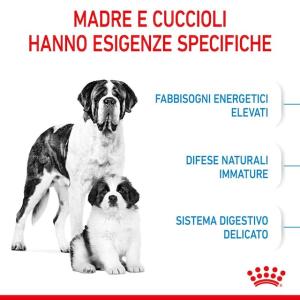 Royal Canin Cane Giant Starter Mother & BabyDog 2