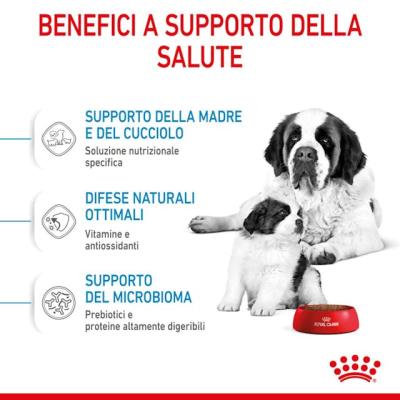 Royal Canin Cane Giant Starter Mother & BabyDog