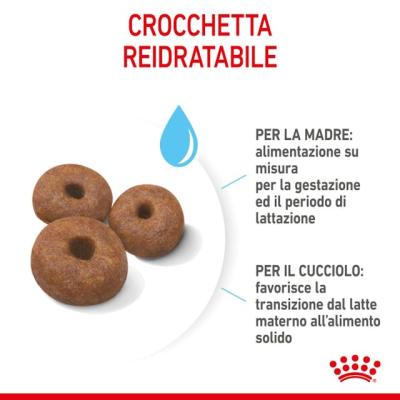 Royal Canin Cane Giant Starter Mother & BabyDog