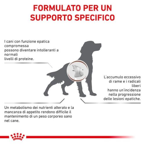 Royal Canin Cane Hepatic