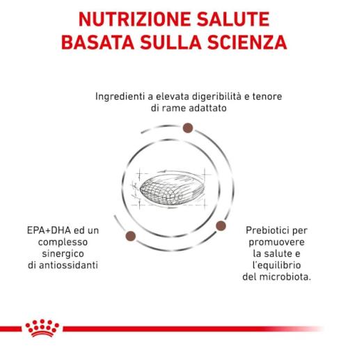 Royal Canin Cane Hepatic