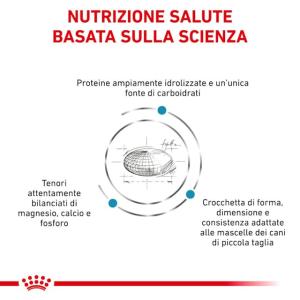 Royal Canin Cane Hypoallergenic Small Dog 2