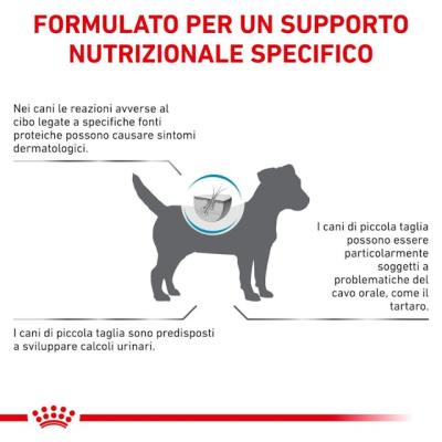 Royal Canin Cane Hypoallergenic Small Dog