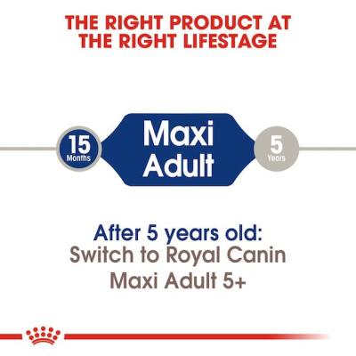 Royal Canin Cane Maxi Adulto