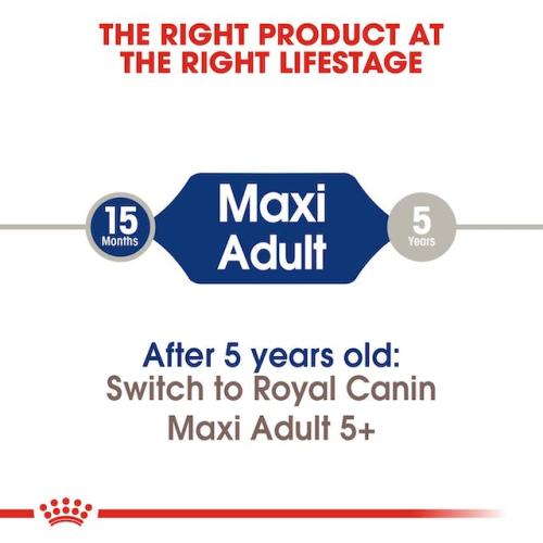 Royal Canin Cane Maxi Adulto