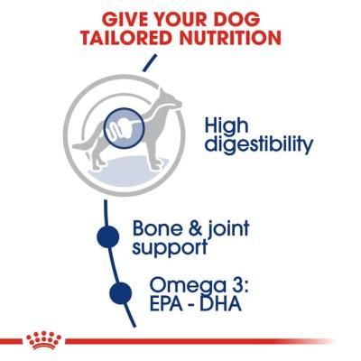 Royal Canin Cane Maxi Adulto