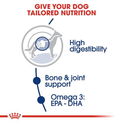 Royal Canin Cane Maxi Adulto