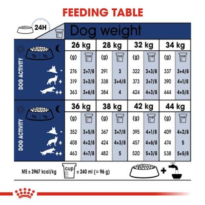 Royal Canin Cane Maxi Adulto