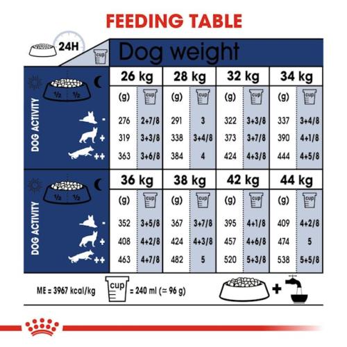 Royal Canin Cane Maxi Adulto