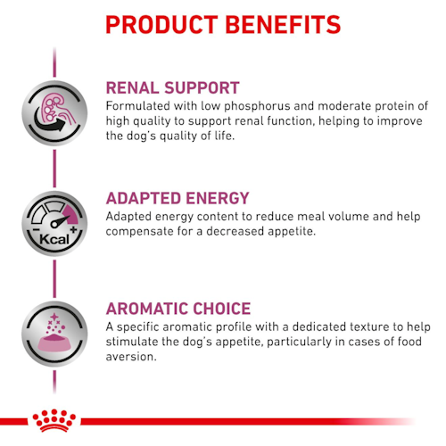 Royal Canin Cane Renal Special Paté 410 Gr
