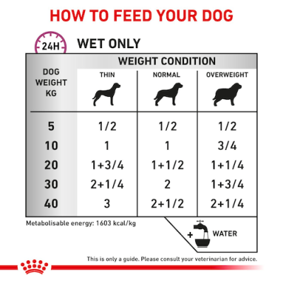 Royal Canin Cane Renal Special Paté 410 Gr