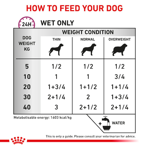 Royal Canin Cane Renal Special Paté 410 Gr