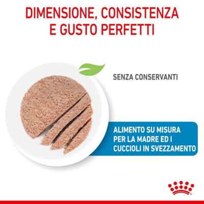Royal Canin Cane Mini Starter Mother & Baby Dog 195 Gr