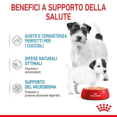 Royal Canin Cane Mini Starter Mother & Baby Dog 195 Gr