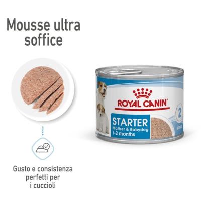 Royal Canin Cane Mini Starter Mother & Baby Dog 195 Gr