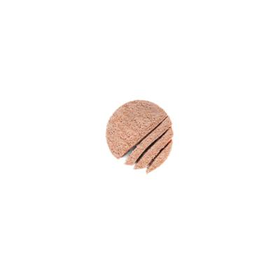 Royal Canin Cane Mini Starter Mother & Baby Dog 195 Gr