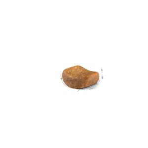 Royal Canin Gatto British Shorthair Adulto 2 Kg 2