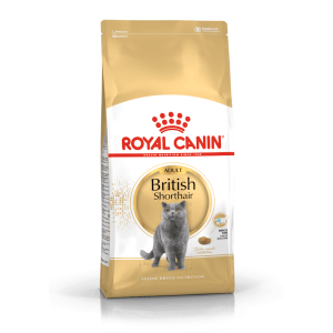 Royal Canin Gatto British Shorthair Adulto 2 Kg