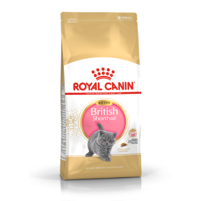 Royal Canin Gatto British Shorthair Kitten