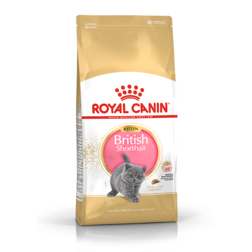 Royal Canin Gatto British Shorthair Kitten