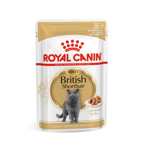 Royal Canin Gatto British Shorthair Adulto In Busta 85 Gr