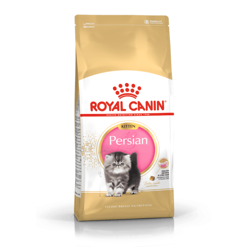 Royal Canin Gatto Persiano Kitten