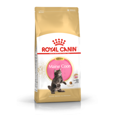 Royal Canin Gatto Maine Coon Kitten